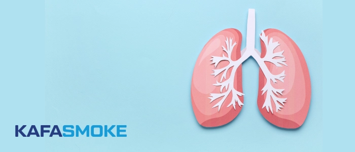 popcorn lunge durch vape